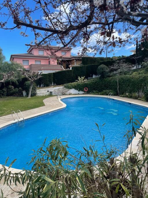 Apartamento Con Piscina En Llança Eksteriør billede